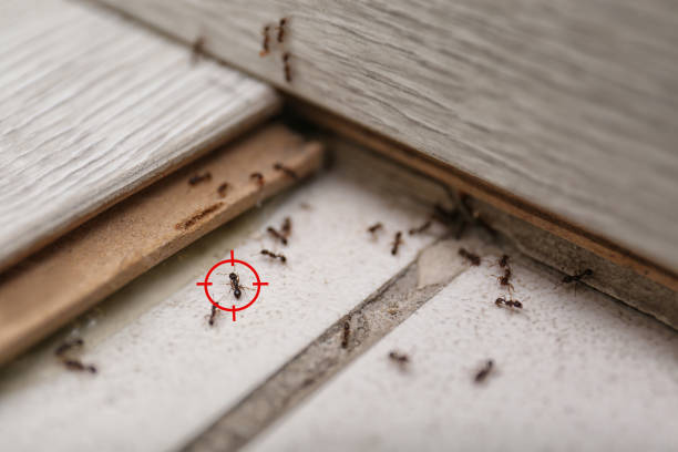 Best Best Pest Control Companies  in Penn Estates, PA