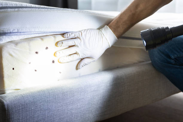 Best Commercial Pest Control Services  in Penn Estates, PA