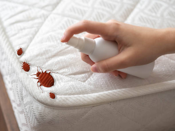 Best Mosquito Control Services  in Penn Estates, PA